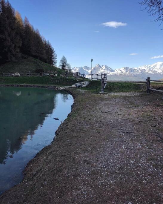 Studio De La Marmotte - Aime 2000 La Plagne Dış mekan fotoğraf